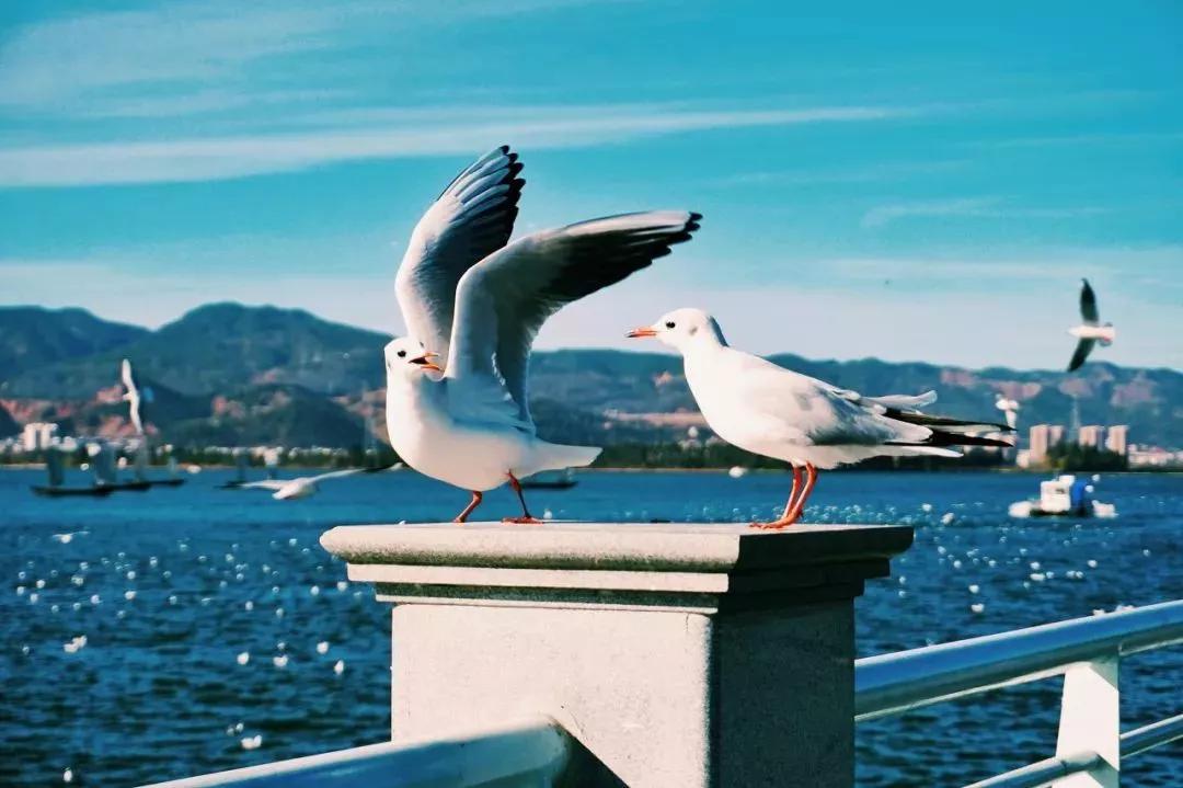 云南淡季旅游线路推荐,云南春季旅行推荐