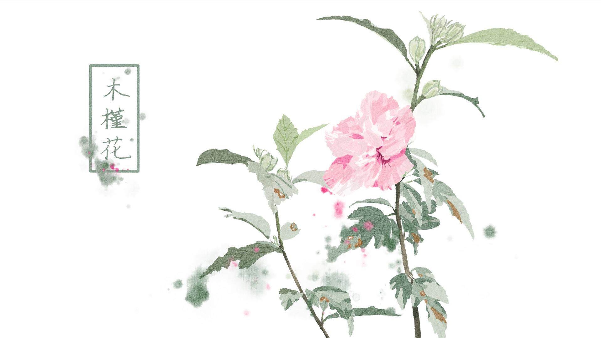 暮落不悲容颜好，夕日依旧无穷花——木槿的傲然姿态