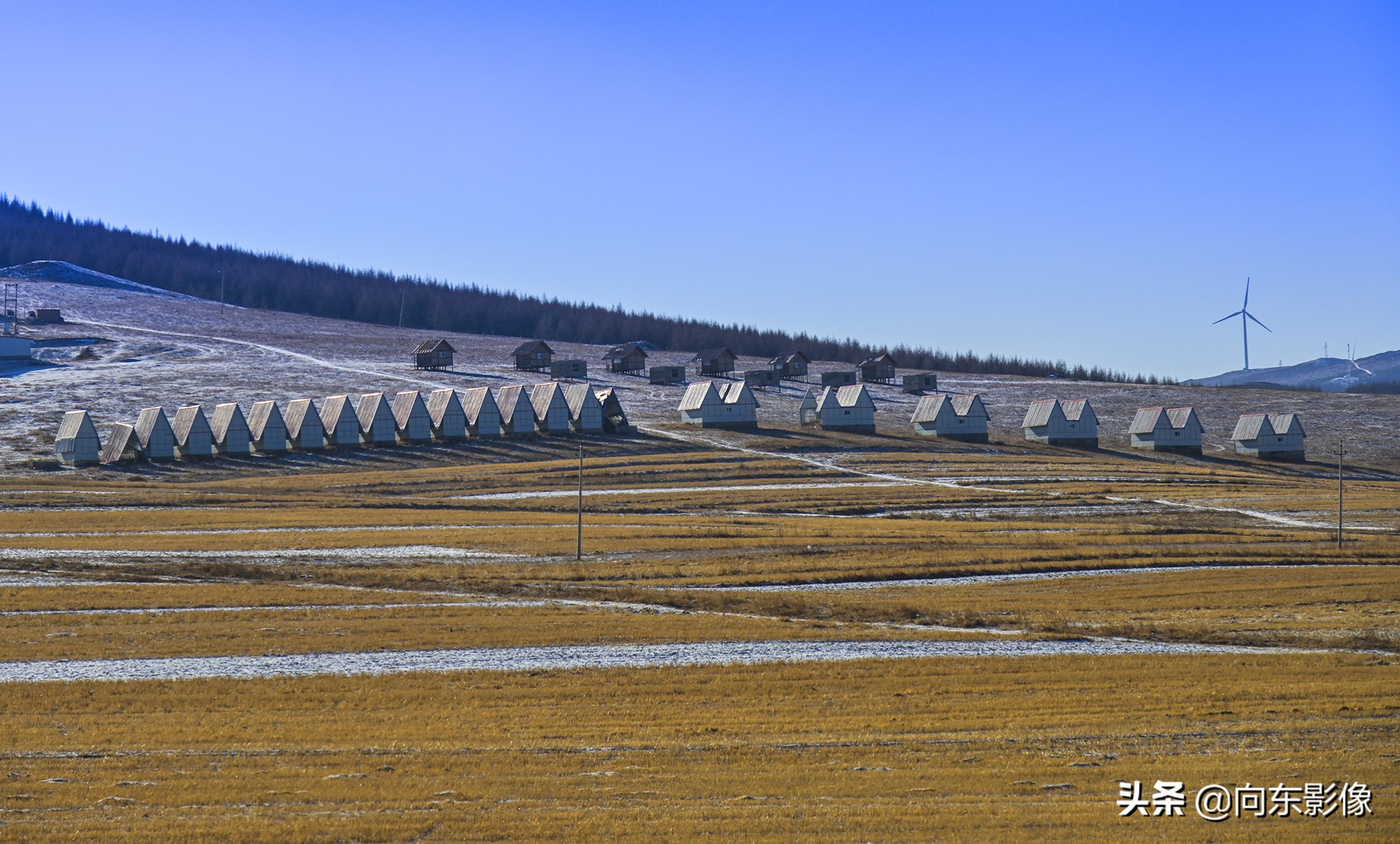 尼康z7一代高感,尼康z7ii4k60p是超采样吗