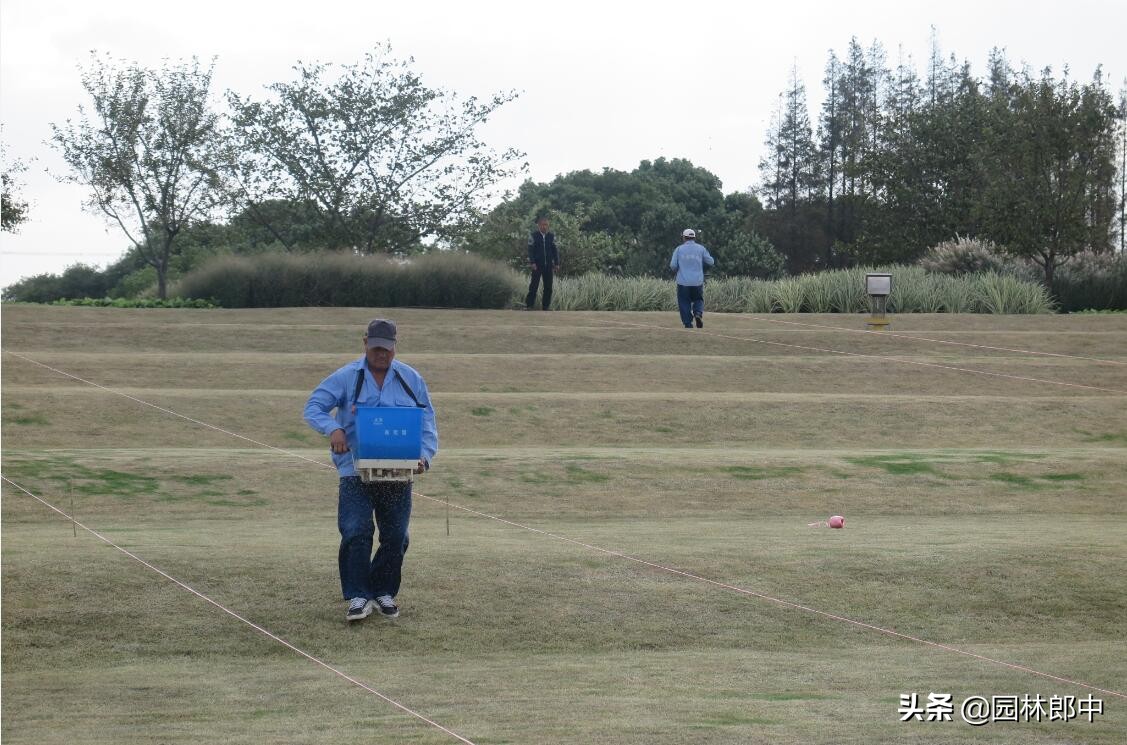 混播草坪底草稀少怎么办,草种撒播后草坪如何封闭杂草