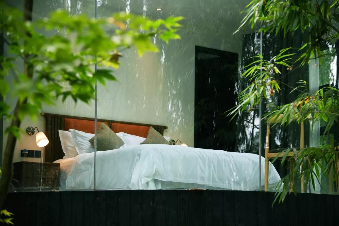 成都民宿推荐青城山,青城山花娟树屋民宿