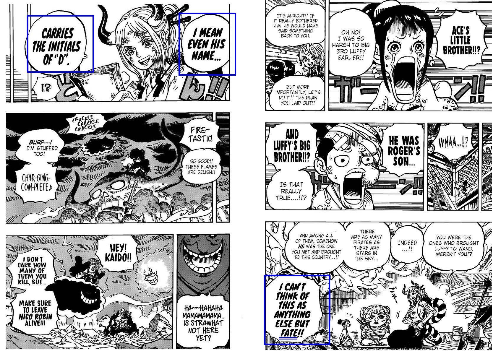 小议“D”的意义、路飞的梦想、路飞的新绝招、超越海贼王的人