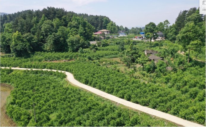 投资果园需要多少钱,投资果园有什么好项目