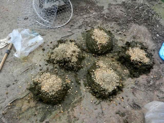 小杂鱼闹窝怎么搞,小杂鱼闹窝的最快解决方法