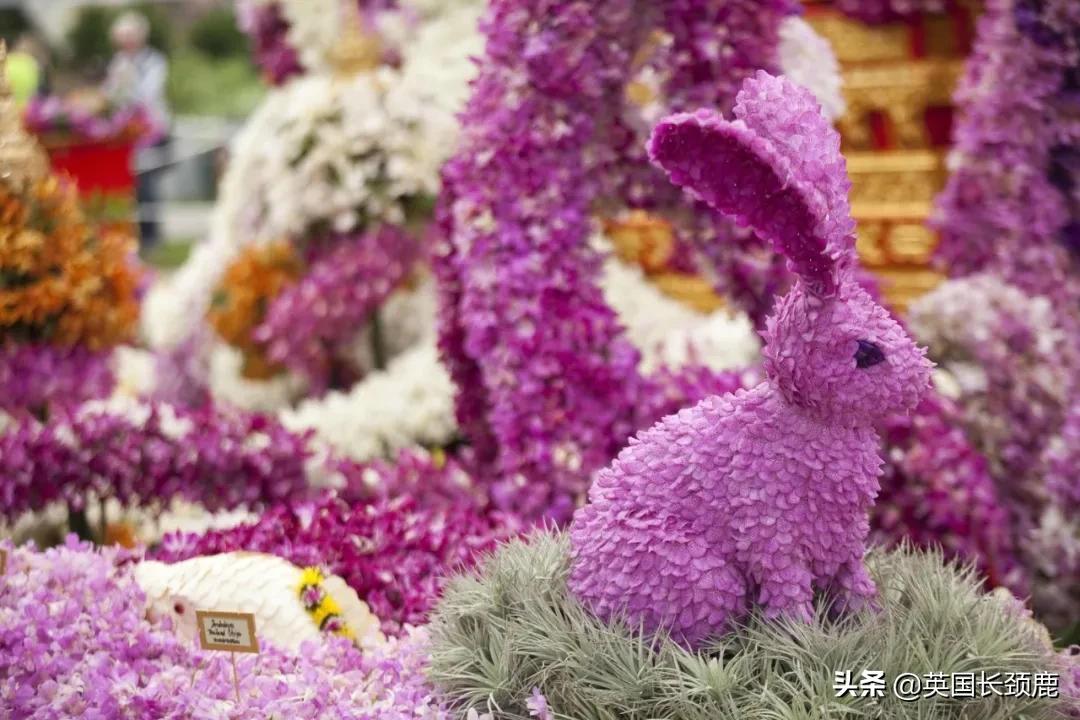 520/521：五月阳光下，伦敦依然盛放。记得常回来看看