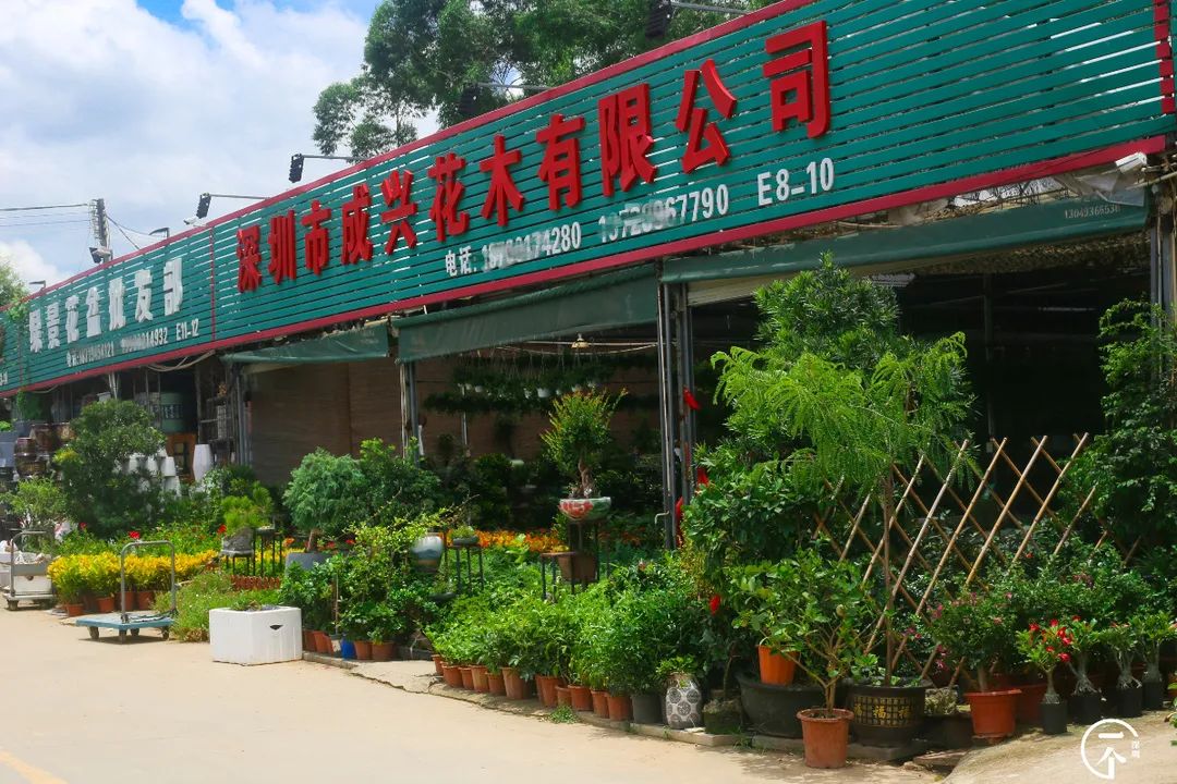 布吉哪里的房租最便宜,布吉房租为什么便宜