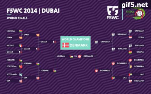 f5wc世界杯,f5wc总决赛