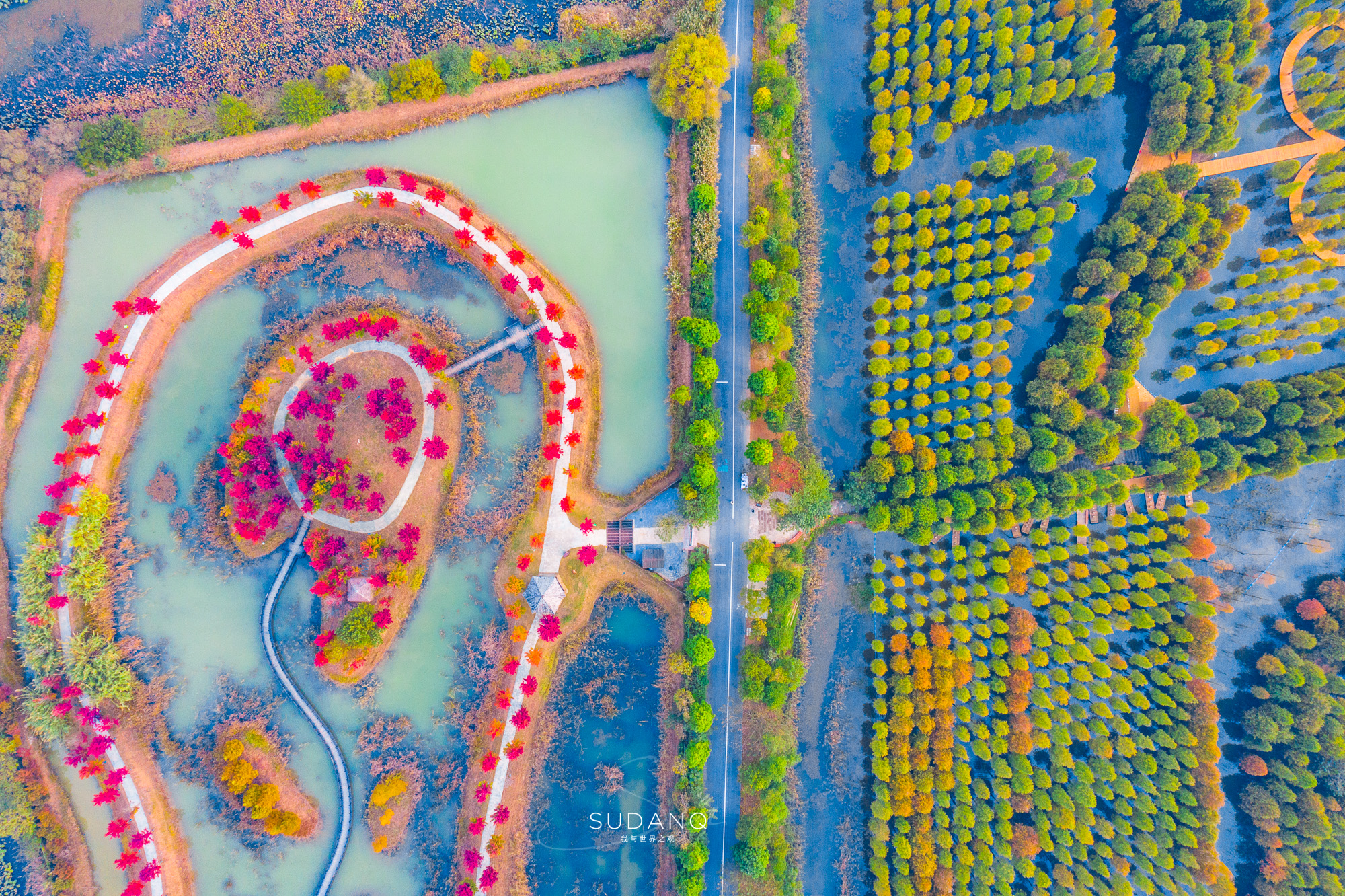 江苏泗洪的风景,江苏的苏南和苏北有什么区别