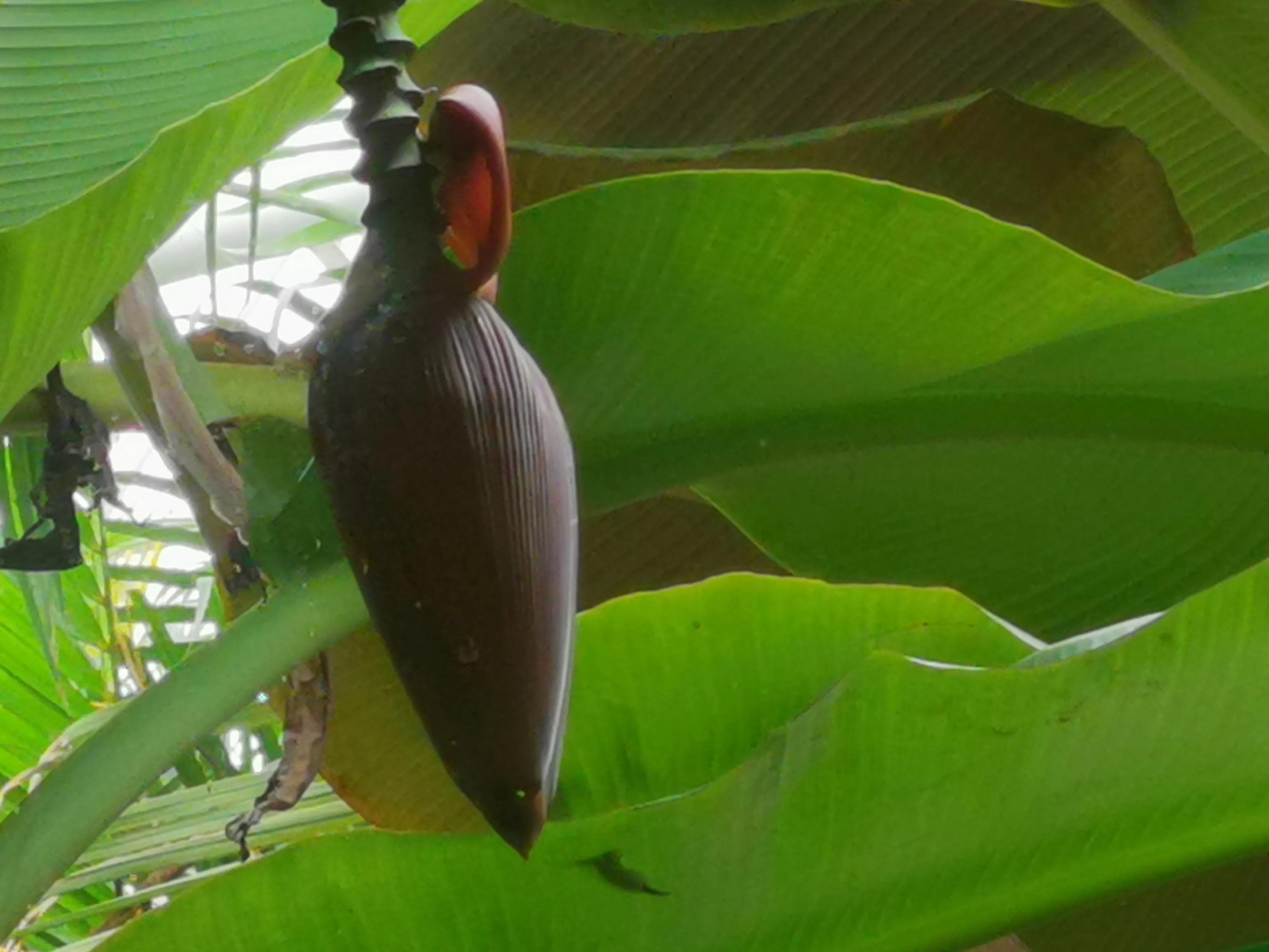 凤山温泉,北京金隅凤山温泉特色