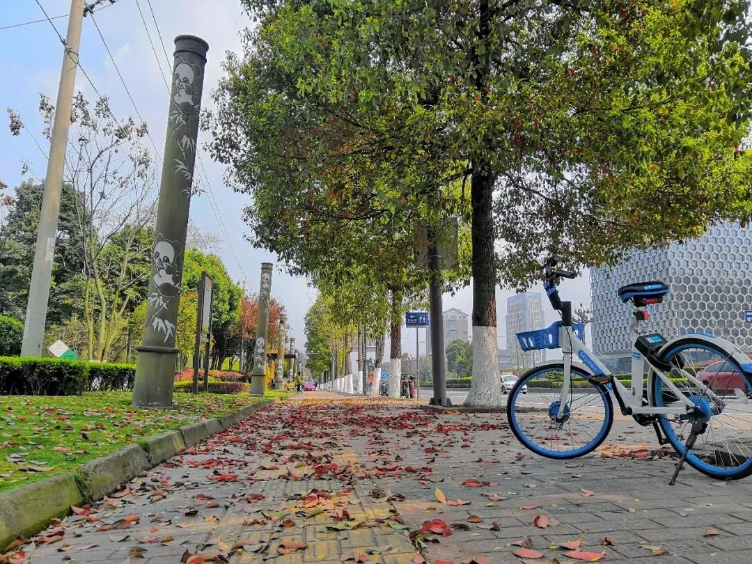 都江堰天府绿道骑行路线图,都江堰周边最美骑行路线