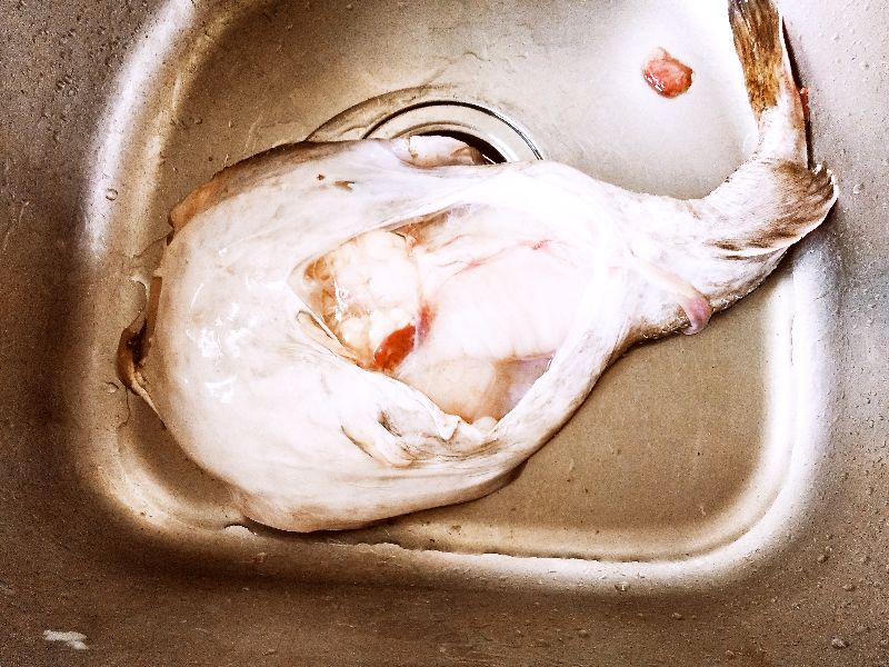 市场上这6种鱼放心购买,市场上卖的鱼哪些是不能养殖的