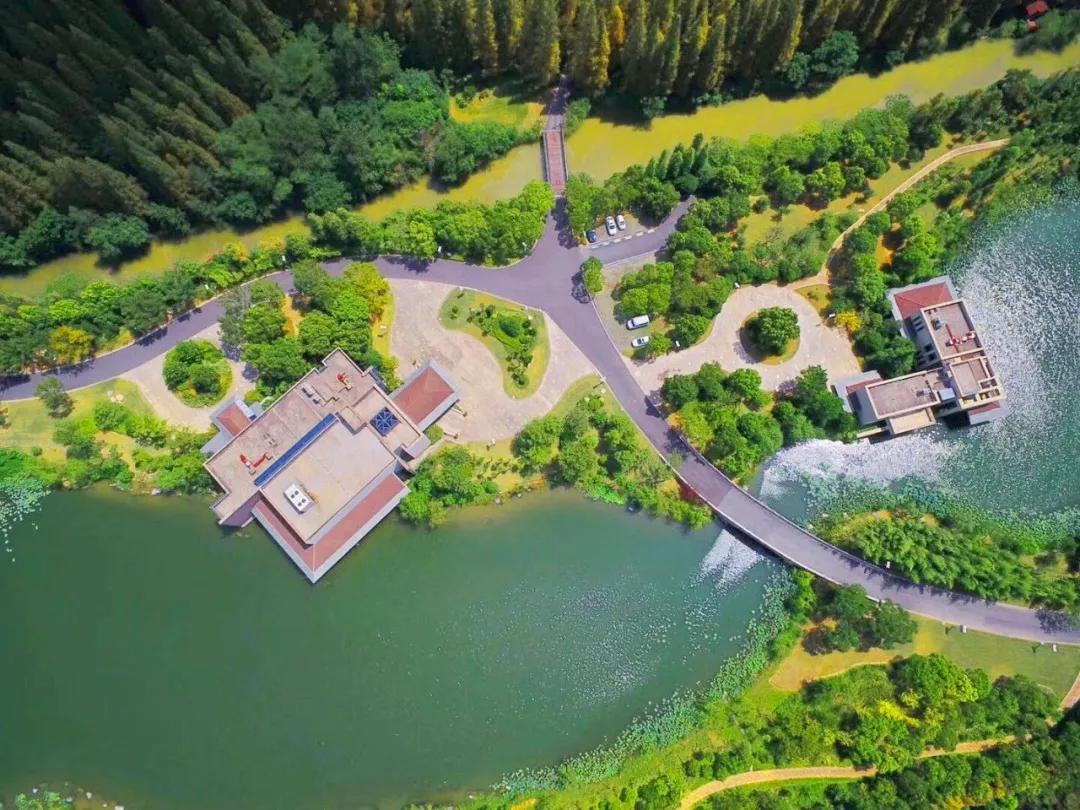 足不出沪的假期,足不出沪游上海