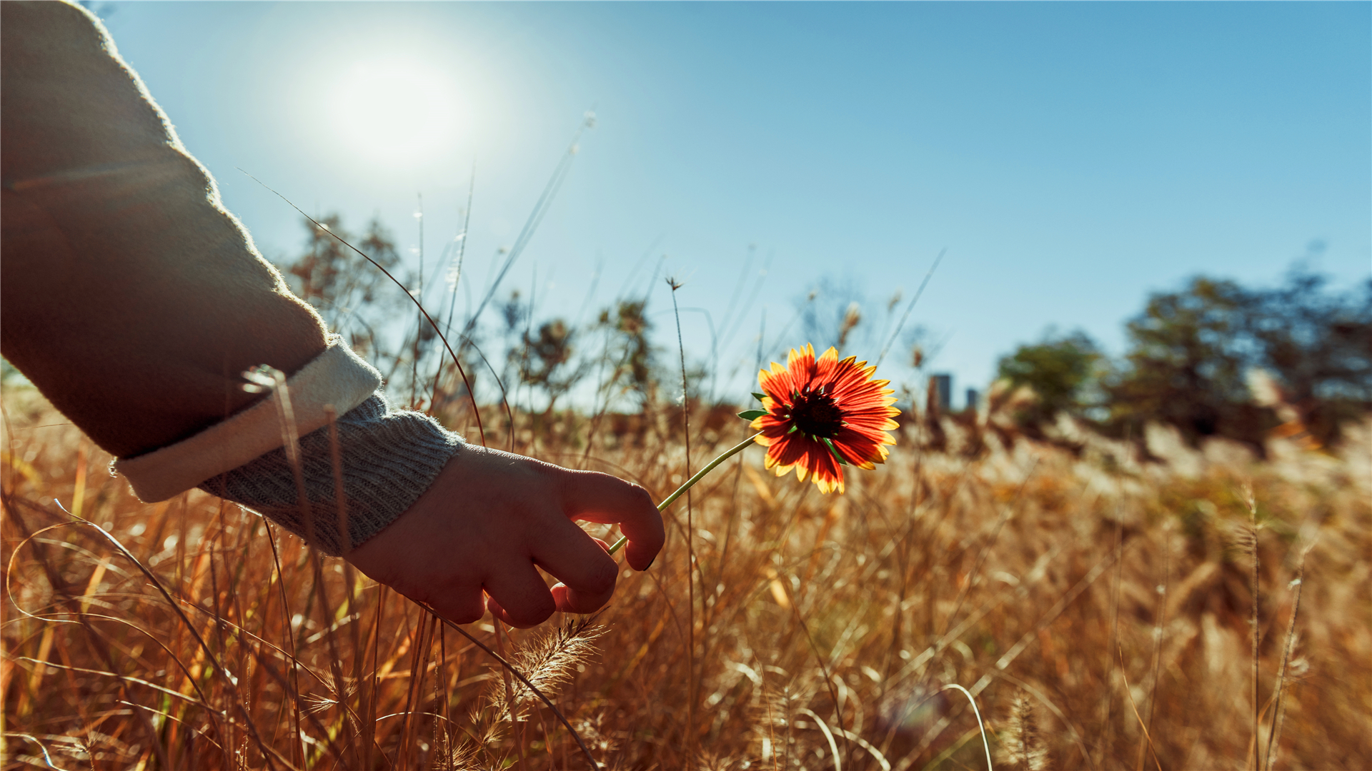 从心理学上怎么分析日久生情,心理学如何让男人对你日久生情