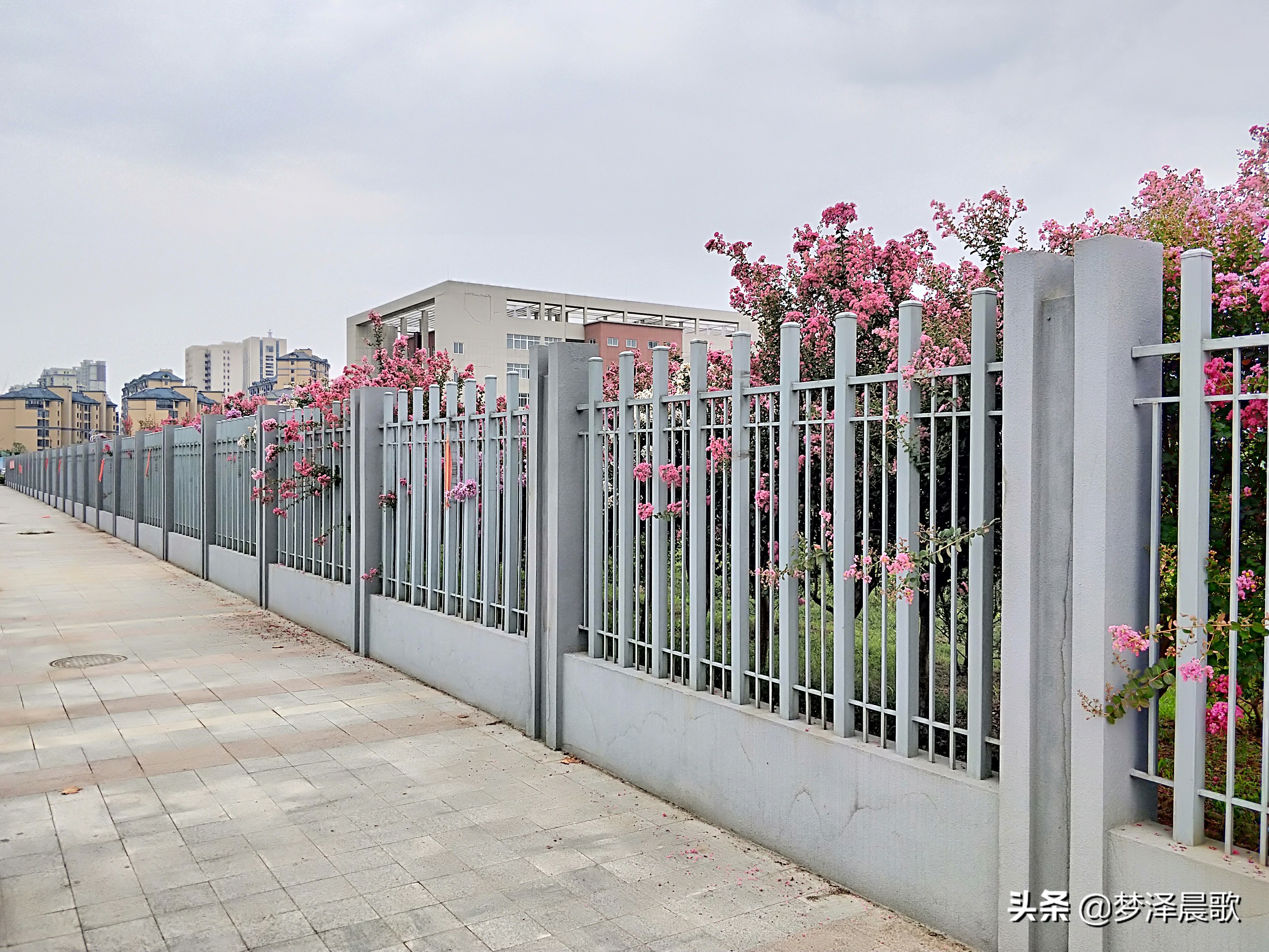 云梦县黄香小学好吗,云梦县黄香小学全貌图