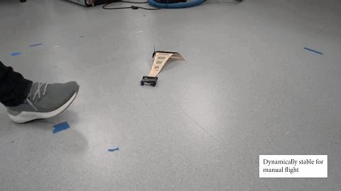 可滑翔也可以垂直起飞的无人机,神奇还能起飞的无人机