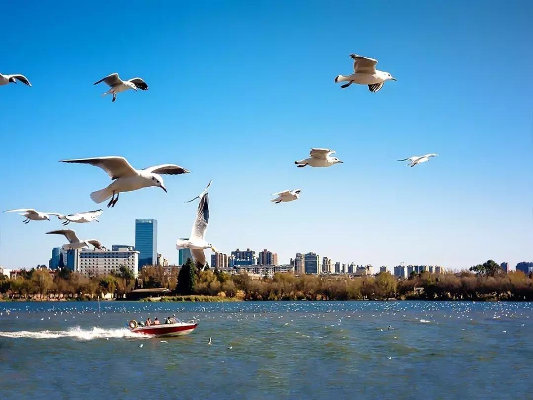 未来昆明发展潜力最大城市,昆明和青岛哪个城市发展潜力大