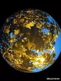 岁月可以翻过，滨医如何折叠？