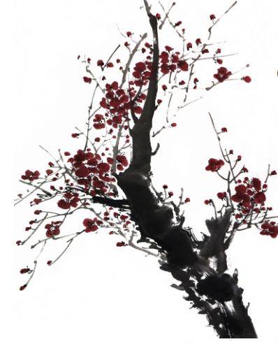 姊呰姳鍥界敾鐢绘硶鐩存挱,姊呰姳鍥界敾鍎跨鍏ラ棬