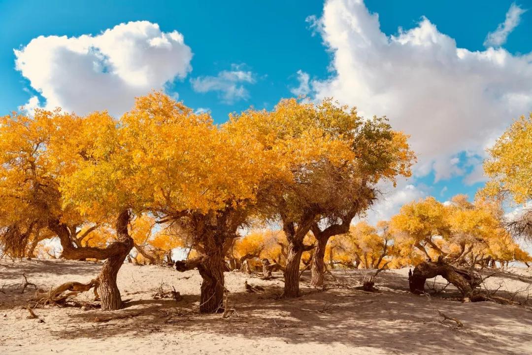 60岁前必去的中国各省区最美天堂,全国各省最美天堂你都去对了吗