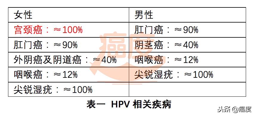 hpv疫苗能预防艾滋病吗,2价hpv大肠杆菌疫苗是预防什么