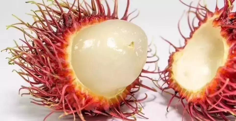 值得带回家的海南特产,带你分享海南特产海鲜