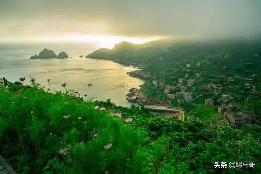 我向往的生活是什么样子短片,我向往的生活是怎么样的