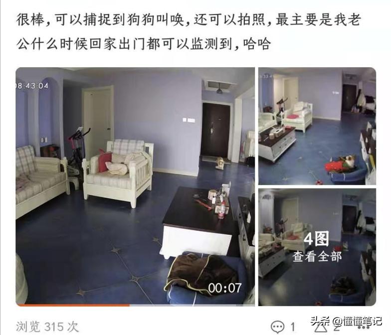 铲屎官的钱不好忽悠？试试宠物机器人