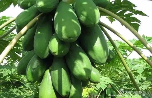 福建长汀最好玩的地方在哪里,福建长汀最好玩的地方在哪里呀