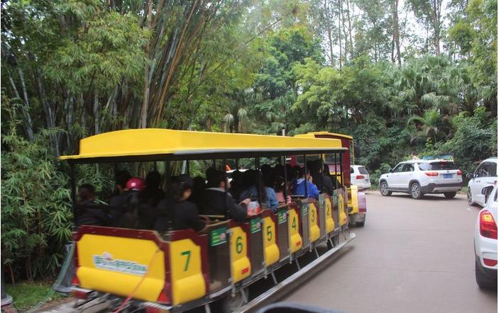 团队自驾游南澳岛旅游攻略,自驾广州长隆3天2夜亲子游攻略