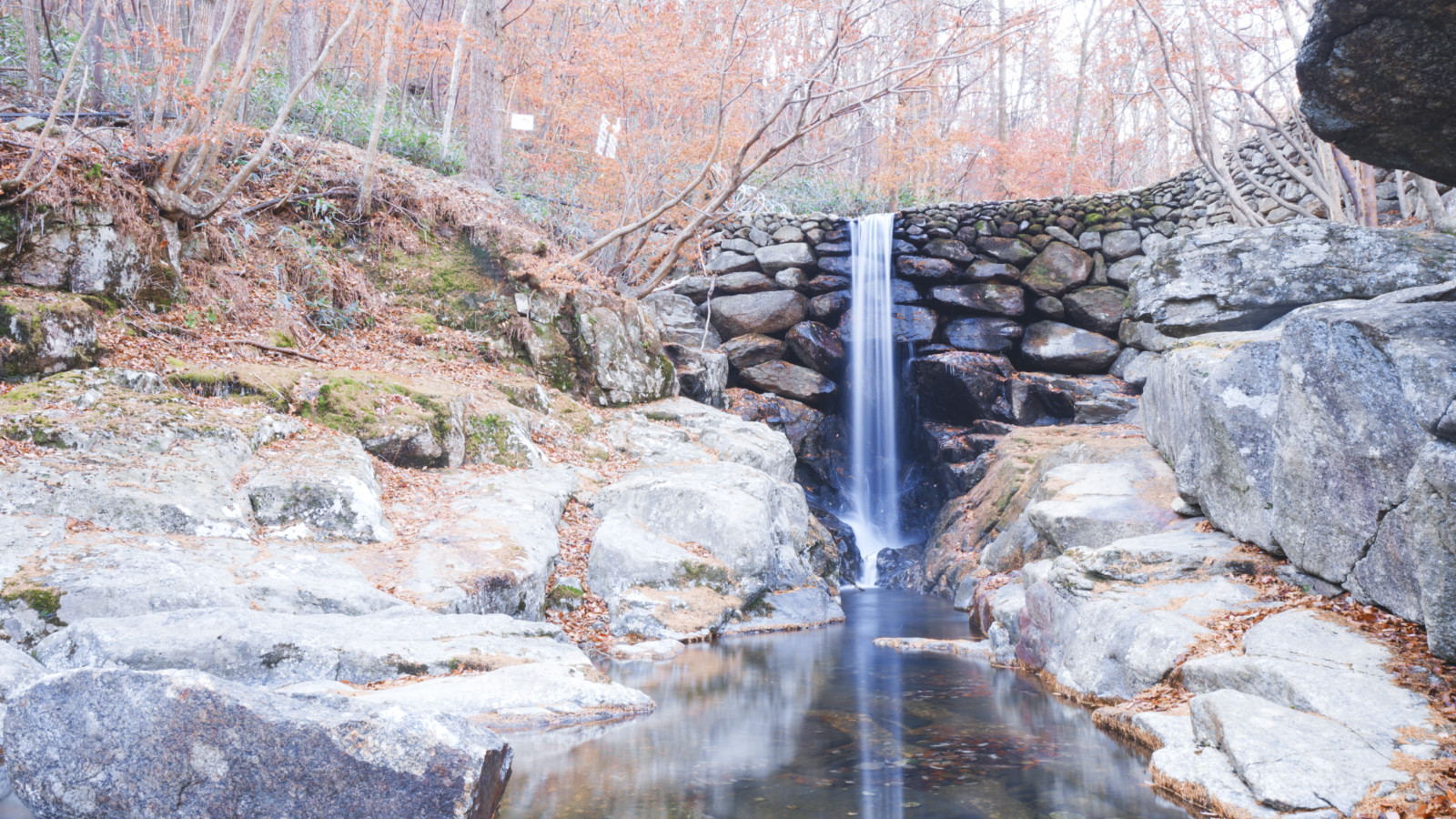挖人参、做丹药、住转运古宅，想不到的韩国深山秘境游