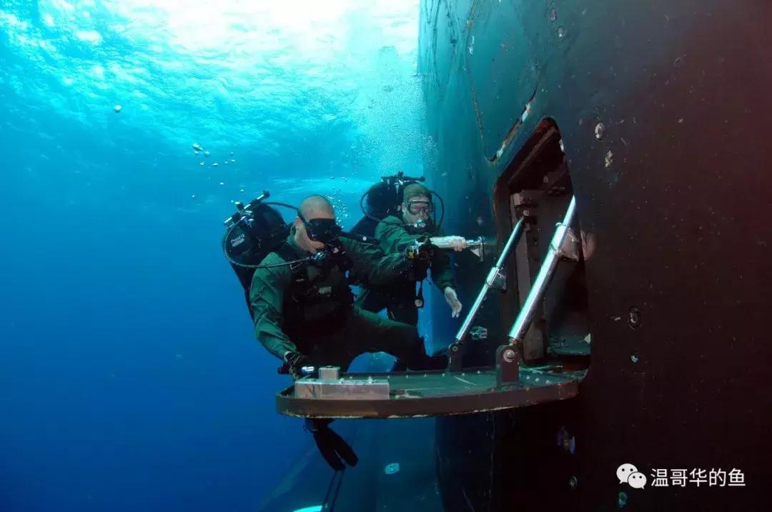 093攻击型核潜艇有几艘,聊一聊当代核潜艇