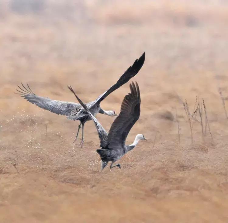 黑龙江旅游小众胜地,黑龙江值得旅游的10个地方