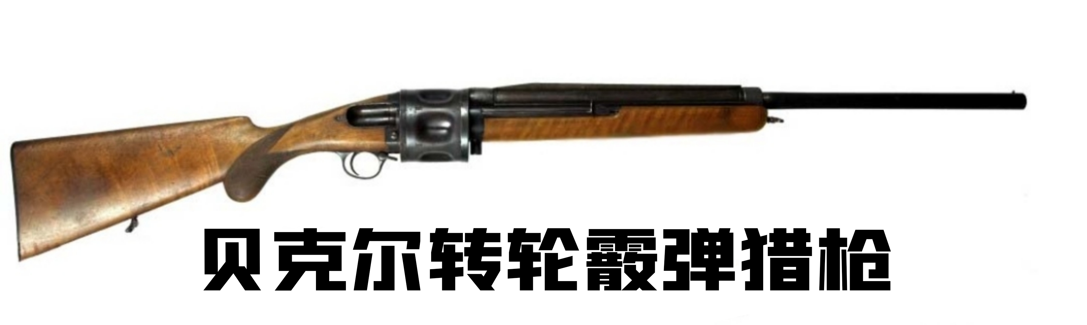 德国1930年的老枪,德国18世纪剑枪图片