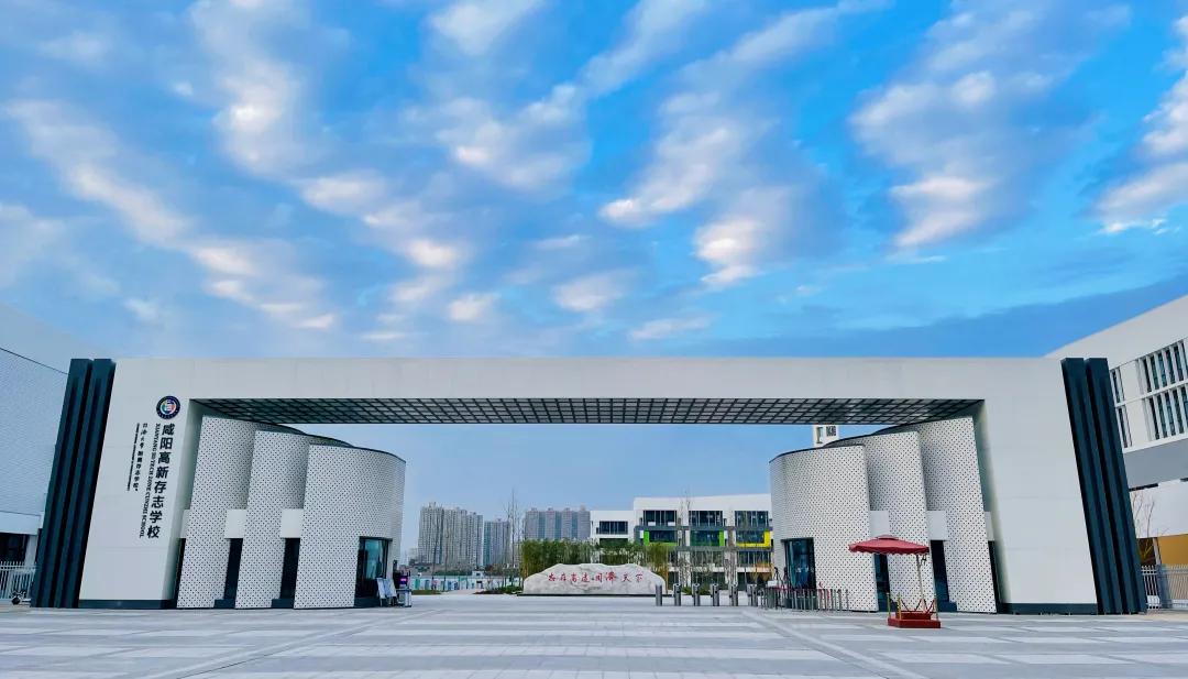 我为什么要留在深圳,我为什么要留在这座城