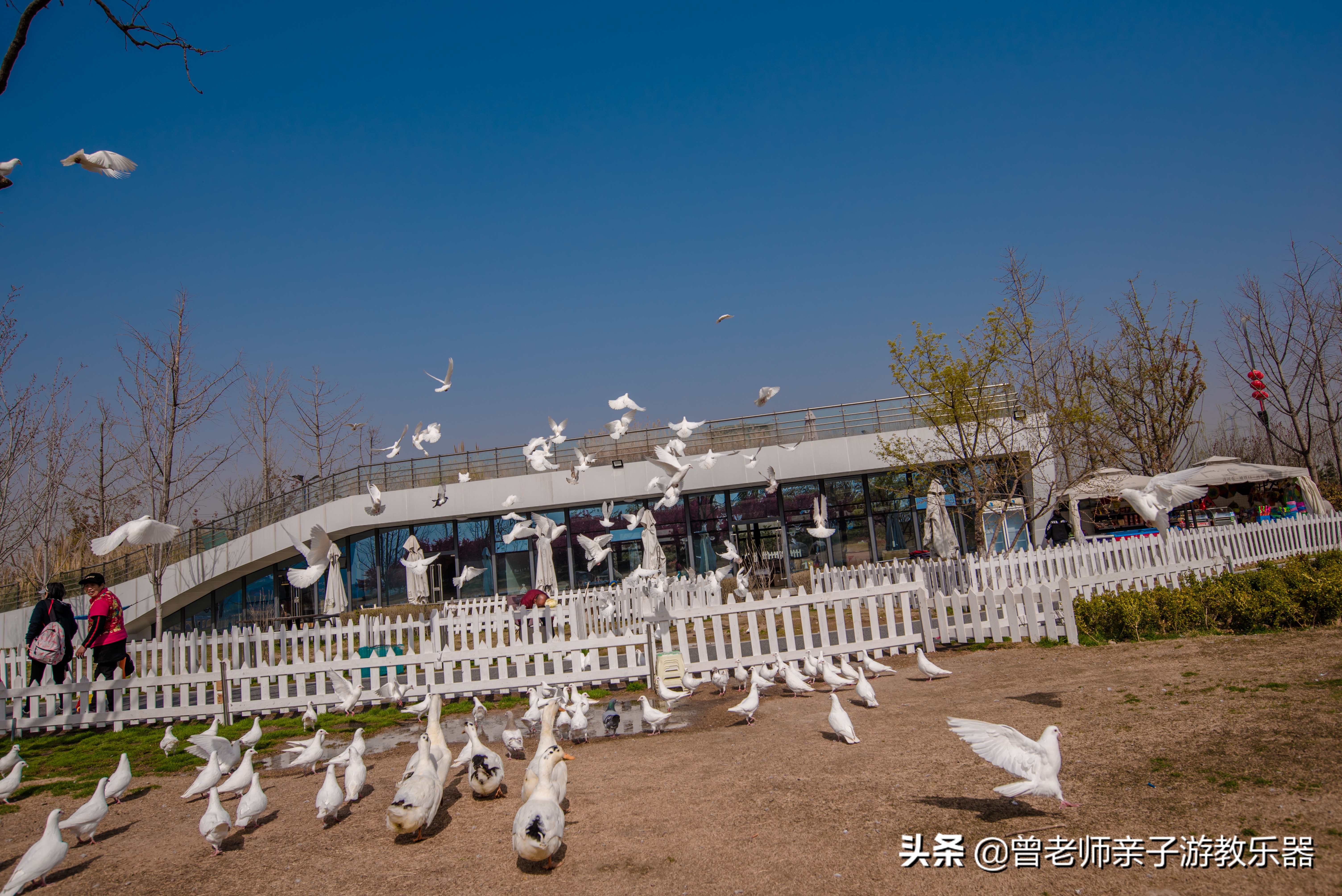 2022西安遛娃一日游的绝佳去处,2022年春节西安遛娃去哪玩最合适