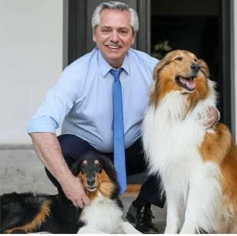 当英国的狗碰上阿根廷总统，宠爱到了极点！有谁还记得英阿世仇？