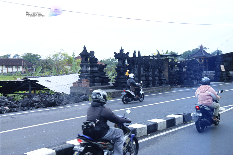 在印尼见识传说中最昂贵的猫屎咖啡