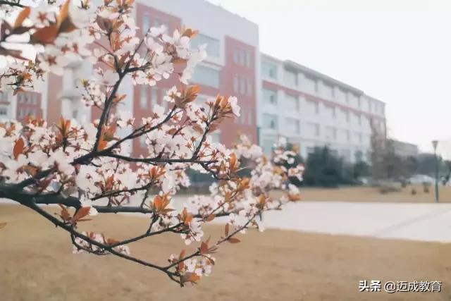 专转本院校介绍之|扬州大学