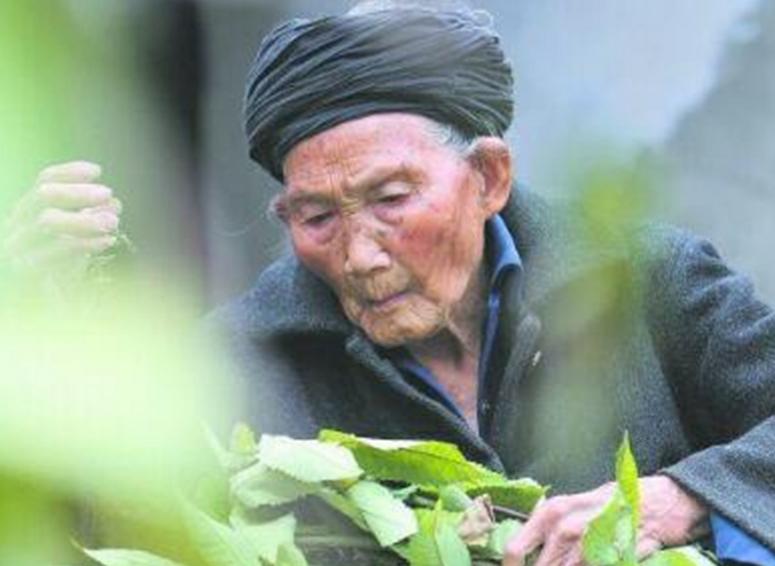 长寿之王龚来发,长寿之王龚来发终身未娶