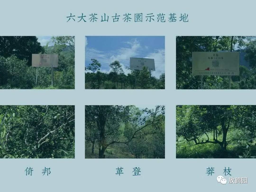 乾利贞宋聘号状元茶,乾利贞宋聘号普洱茶价目表