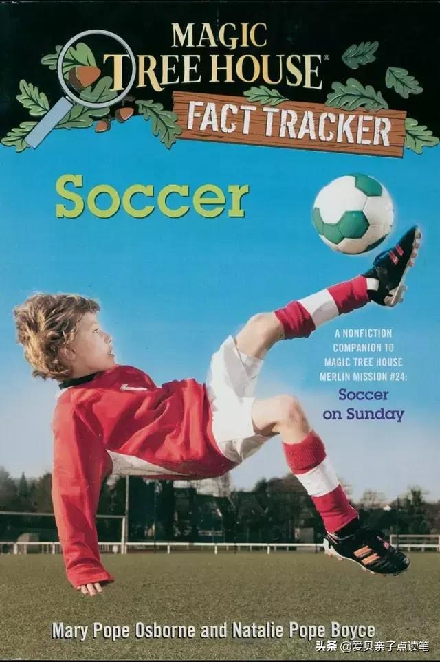 神奇树屋基础和进阶故事一样吗,神奇树屋小百科