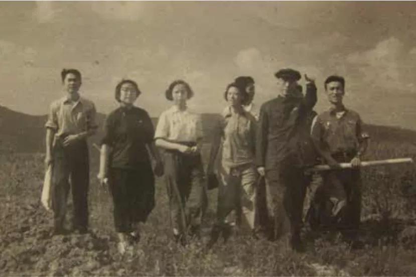 杨廷宝先生诞辰一百周年纪念文集,杨廷宝故居纪念馆