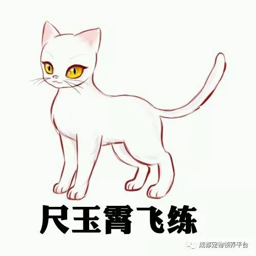 谁说土猫无名猫？快来围观古代猫谱，你家有没有镇宅神兽！