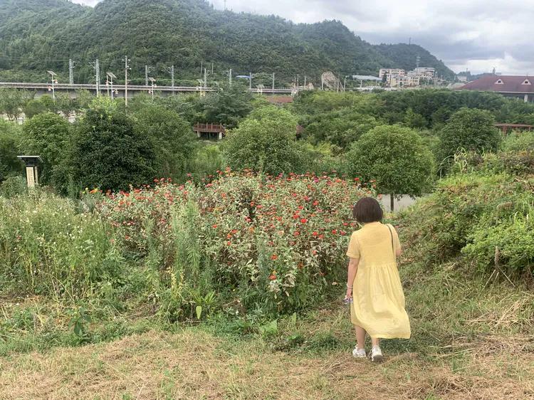 贵州蓬莱仙界旅游攻略,白云区蓬莱仙界景点介绍