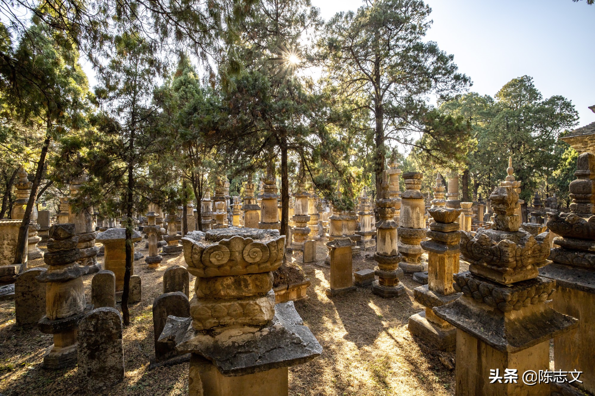 佛陀圆寂后几日火化,古代高僧圆寂视频