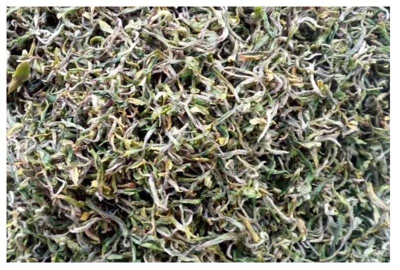 茶叶分类标准及各类名茶代表品种,六大茶类的基本知识和代表名茶