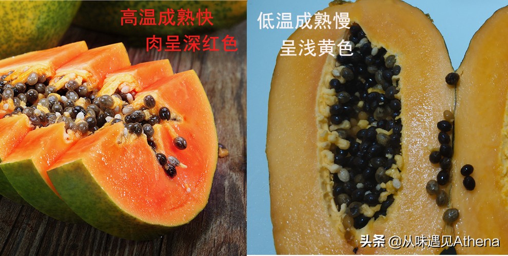 红心木瓜能放熟吗,红心木瓜是脆的还是软的