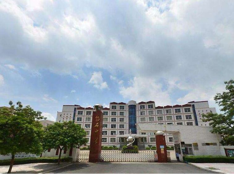 东莞公办好学校,东莞最好的复学学校