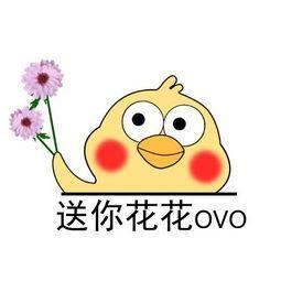 钃濈传鑹茬殑鑺辨湁鍑犵,10绉嶈秴缇庣殑娴呯传鑹茶姳