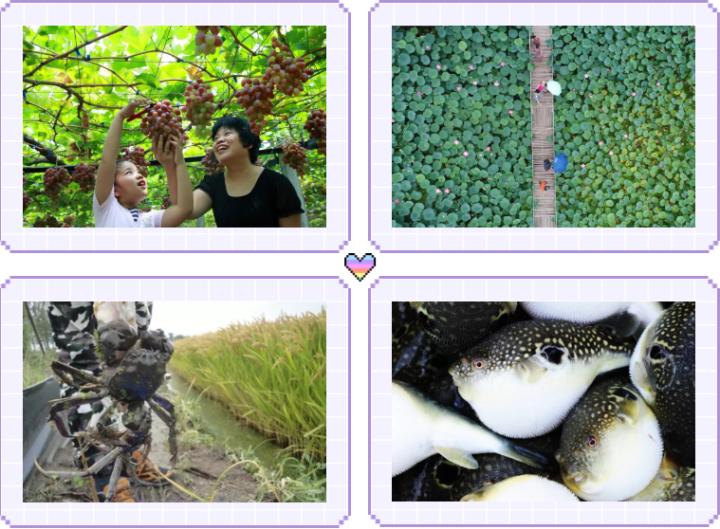 曹妃甸旅游规划图,曹妃甸旅游产业园